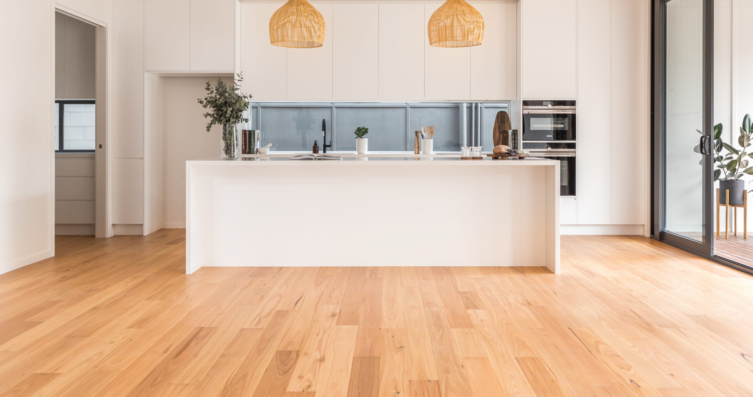 Blackbutt