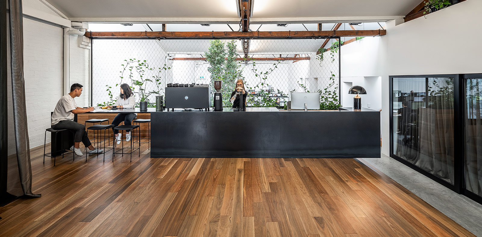 Spotted gum